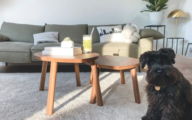 Choosing the Perfect Carpet for Your Living Room