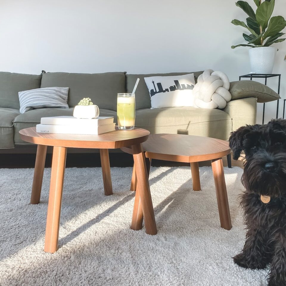 Choosing the Perfect Carpet for Your Living Room
