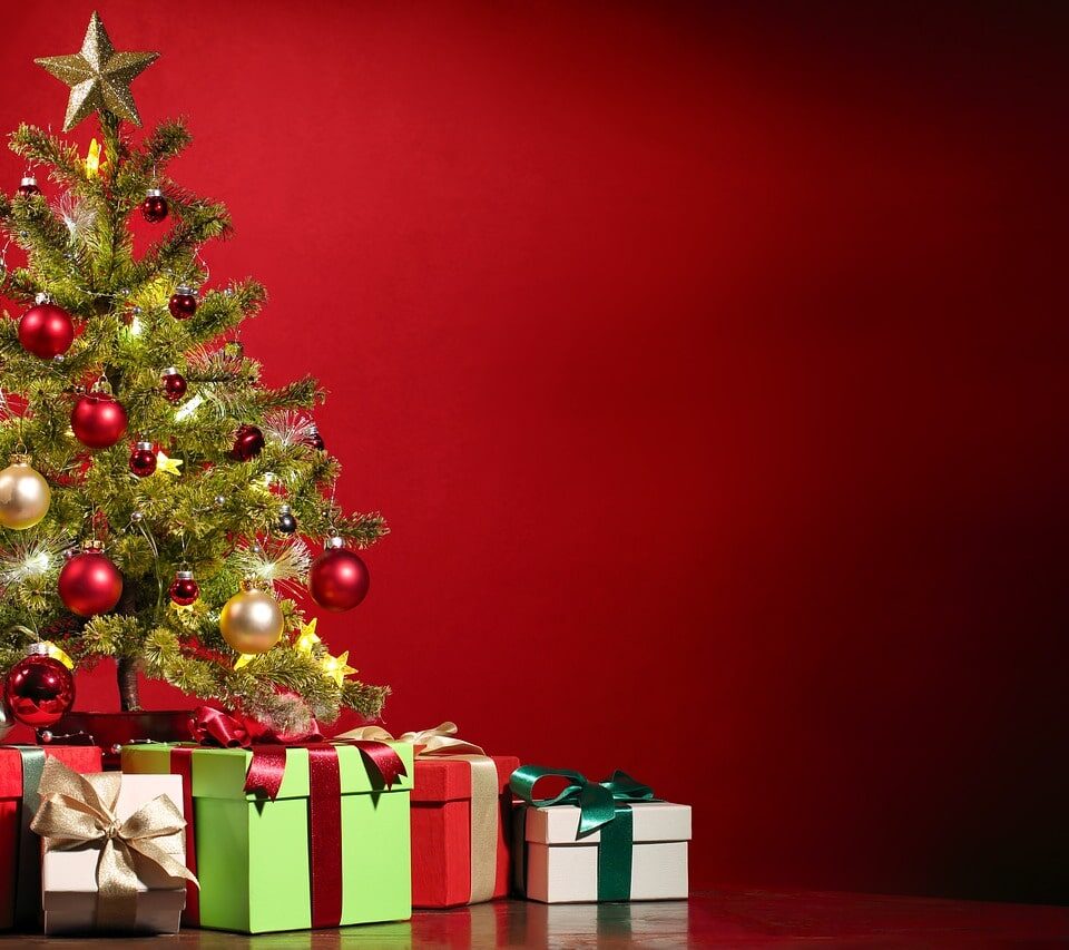 Christmas Tree Ornaments and Holiday Decorations to Try