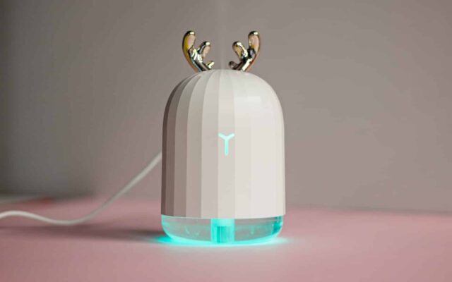 Cool Mist Vs Warm Mist Humidifier