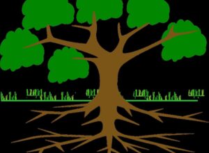 Different Types of Roots in Plants