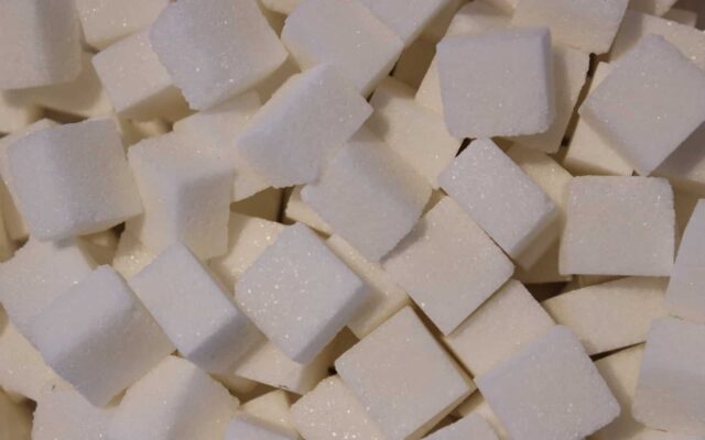 Different Types of Sugar
