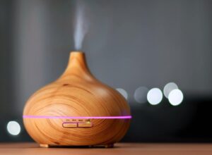 Humidifier Vs. Vaporizer