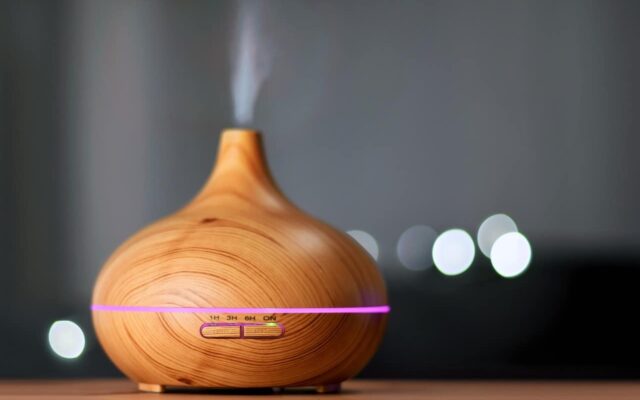Humidifier Vs. Vaporizer