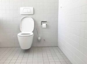 What Is a Tankless Toilet