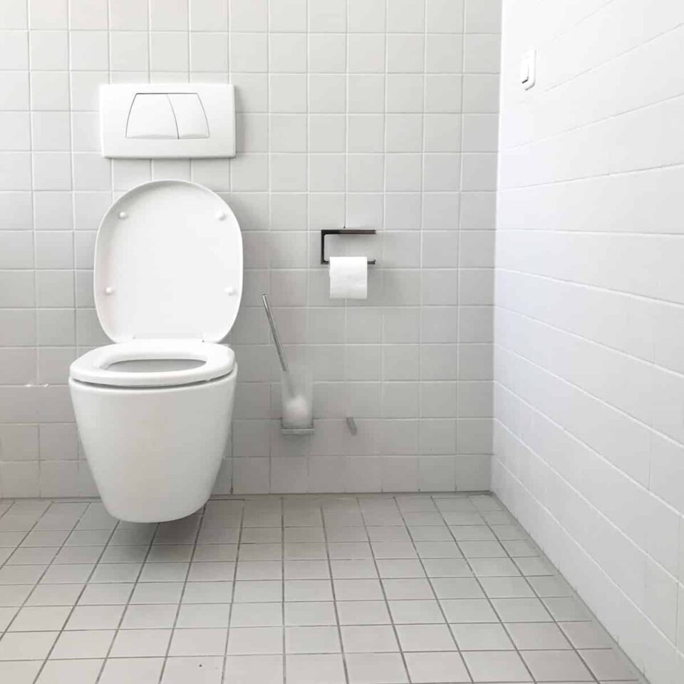 What Is a Tankless Toilet