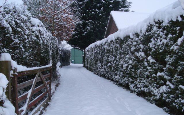 Wooden Driveway Gates