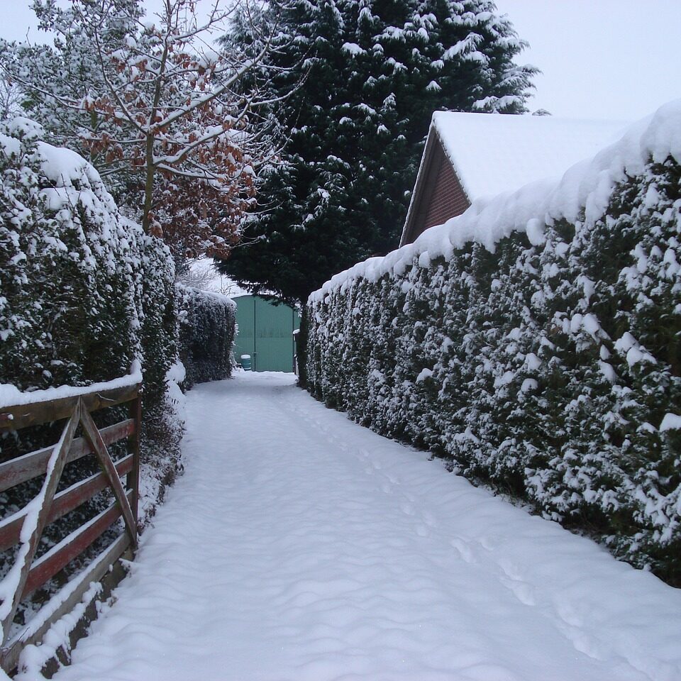 Wooden Driveway Gates