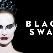 Facts About Black Swan