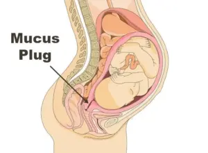 Can Having Sex Break Your Mucus Plug?