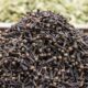 Are Cloves Good for Sex?