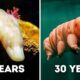 Animals That Can Survive Without Food for a Long Time