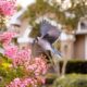 Des plantes grimpantes qui attirent les oiseaux